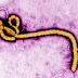 What is Ebola virus disease?