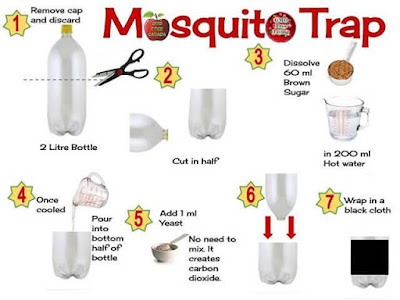 DIY: Homemade Mosquito Trap