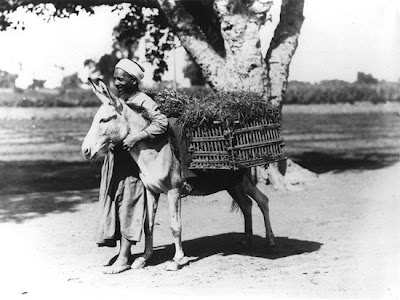 بالصور مصر المحروسة منذ أكثر من 150 عاماً