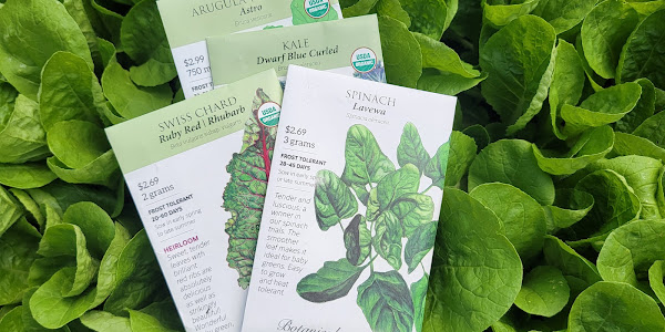 Now’s the Time to Plant Cool Season Crops  