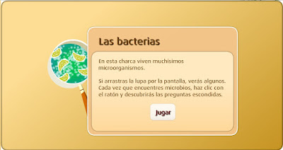 http://www.primaria.librosvivos.net/archivosCMS/3/3/16/usuarios/103294/9/bacterias_cono4EP_ud5_02/frame_prim.swf