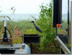 At our site in Curry Hammock SP