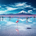  SALAR DE UYUNI