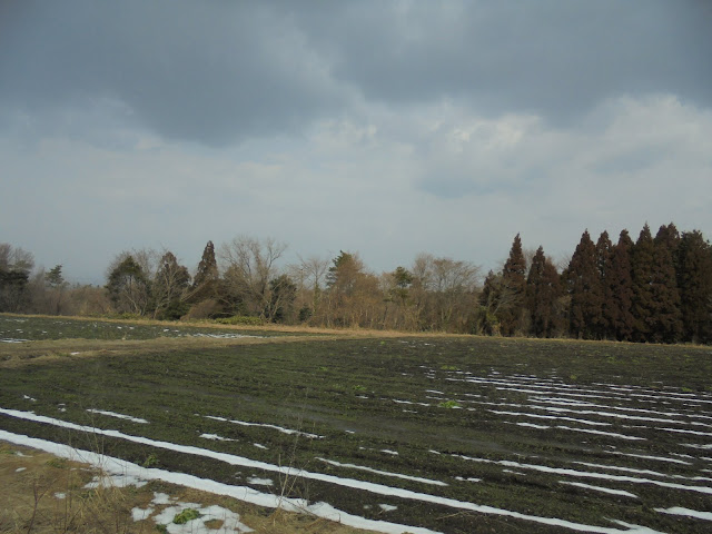 空気が温かいためでしょうか米子方面の背景は見えません