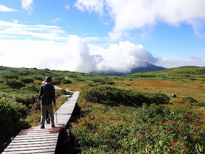 子供と白山登山　エコーライン