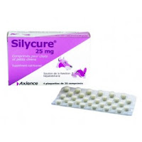  Silycure