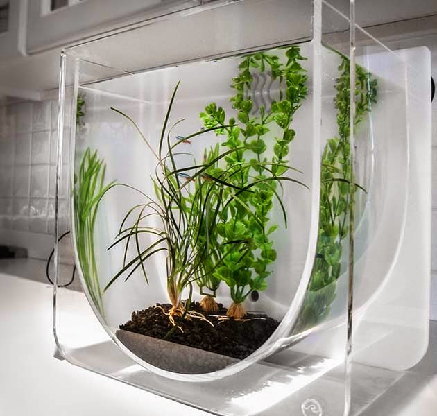 15 Coolest Fish Bowls and Awesome Aquarium Designs - Part 3.