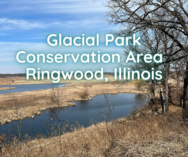 king Through a Glacial Landscape at Glacial Park Conservation Area in Ringwood, Illinois