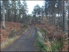 SDC10300