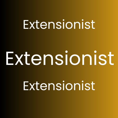 The Art of Extensionism: A Journey into Creative Expansion