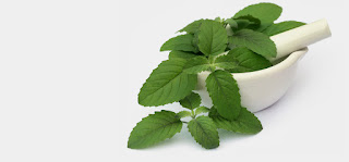 find more about tulsi holy basil https://shabarmantars.blogspot.in/2016/12/holy-basil.html