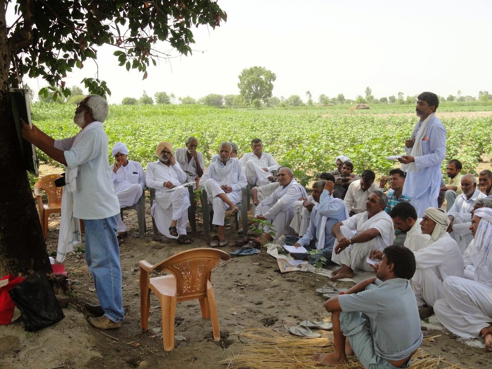 चित्र