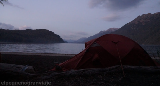 Carpa, lago, correntoso, atardecer