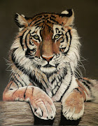 . although my next 'big cat' picture is planned and waiting in the wings .