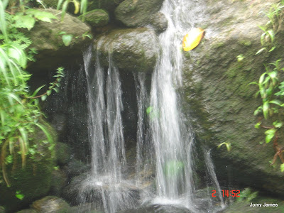 Streams at Velliamattom, Thodupuzha, Idukki