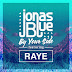Download Jonas Blue – By Your Side [iTunes Plus AAC M4A]