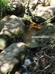 Teluk_Limau_Trek_Bako_National_Park_12