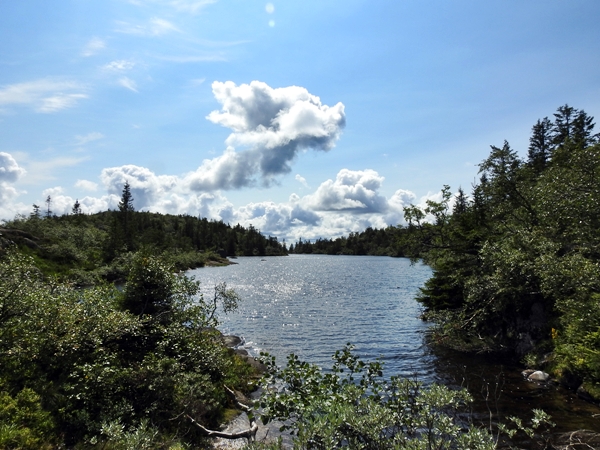 Jonsknuten kongsberg