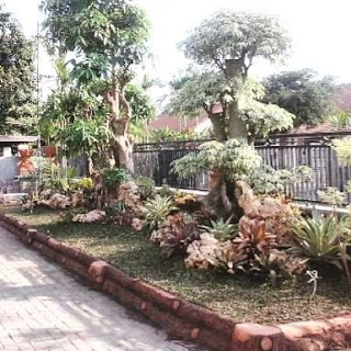 Tukang taman surabaya - taman luar pagar