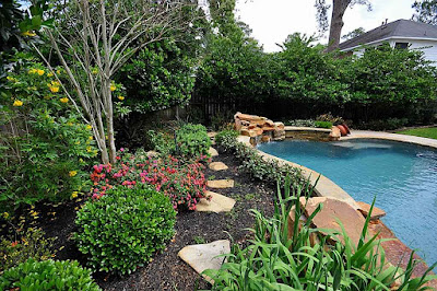 Backyard Idea with Pool