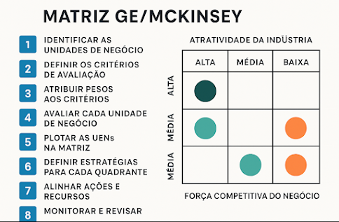matriz-ge-mckinsey-professor-rafael-jose-poncio