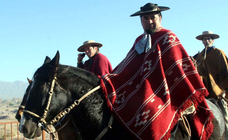 Horses and Gauchos 