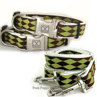 Harlequin Lime Dog Collar Collection - All Metal Buckles - Posh Puppy Boutique