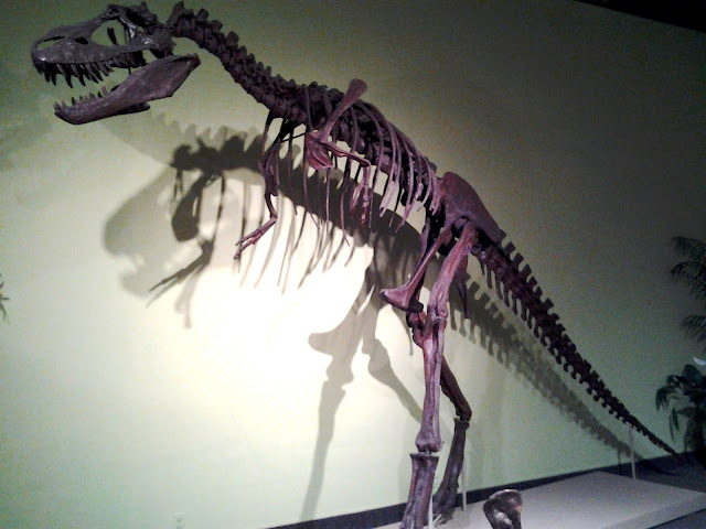 royal alberta museum dinosaur