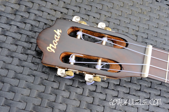 Noah Rosewood Spruce Tenor Ukulele headstock