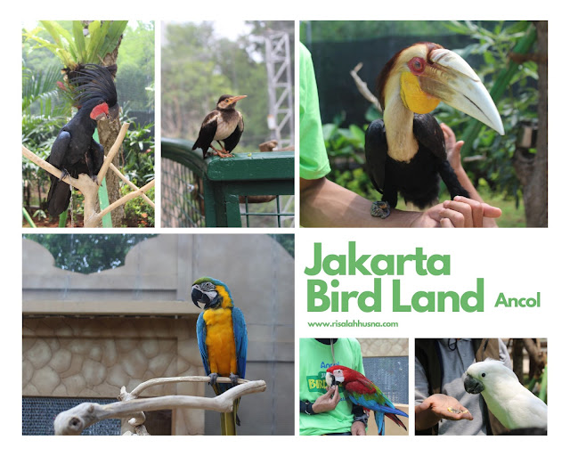 Jakarta Bird Land