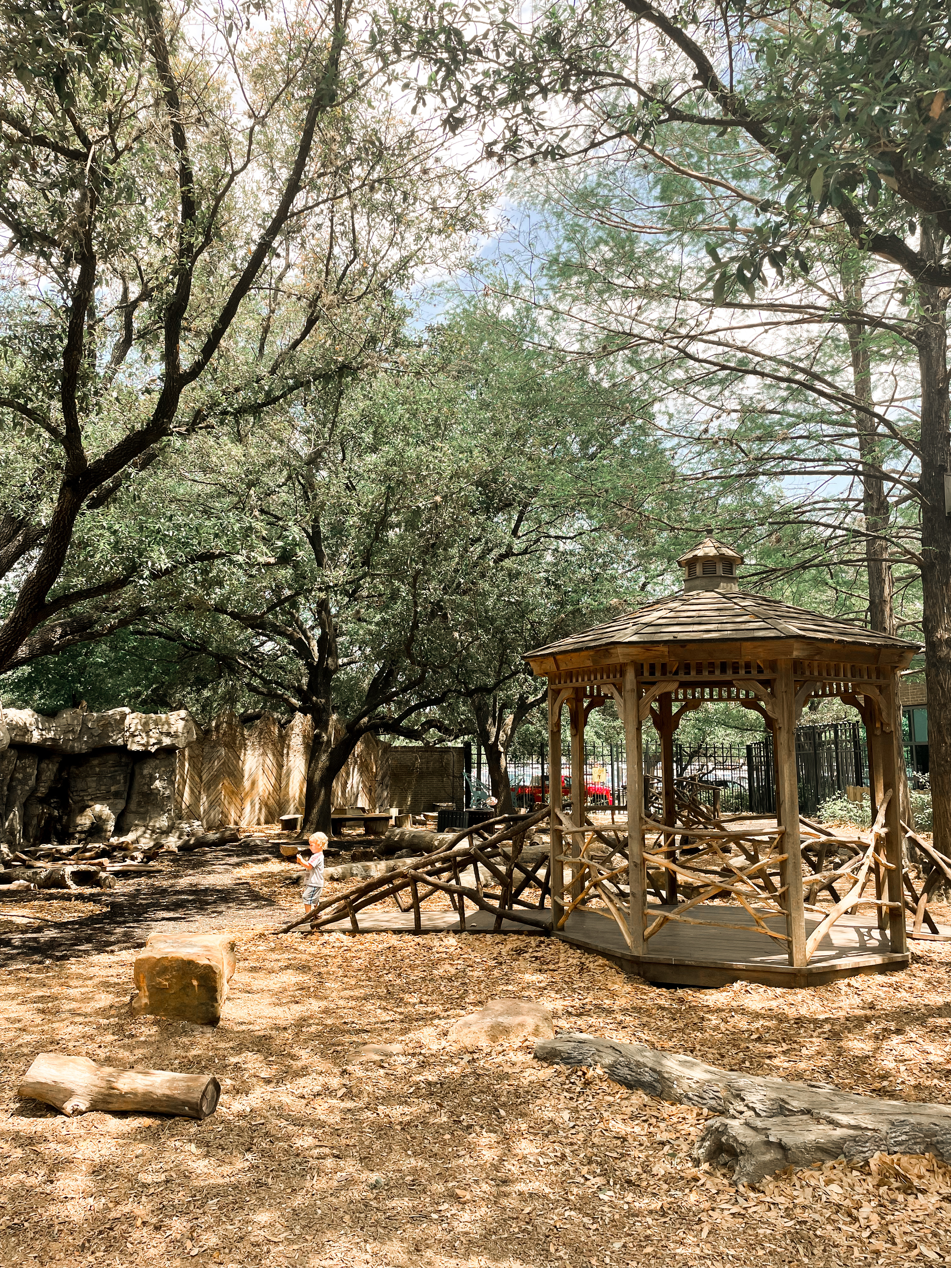 Explore the Wild at The Houston Zoo