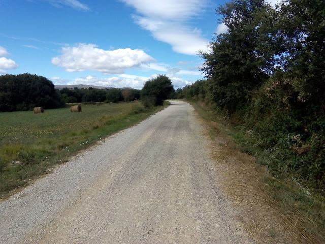 Medina de Pomar Circular MTB