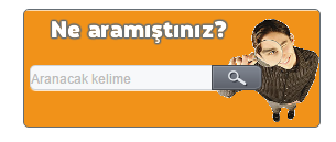 blogger arama kutusu