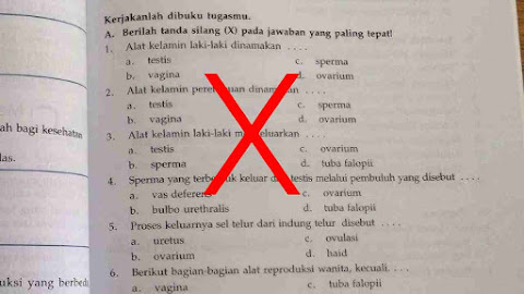 Polemik Buku Pelajaran SD Berbau Pornografi