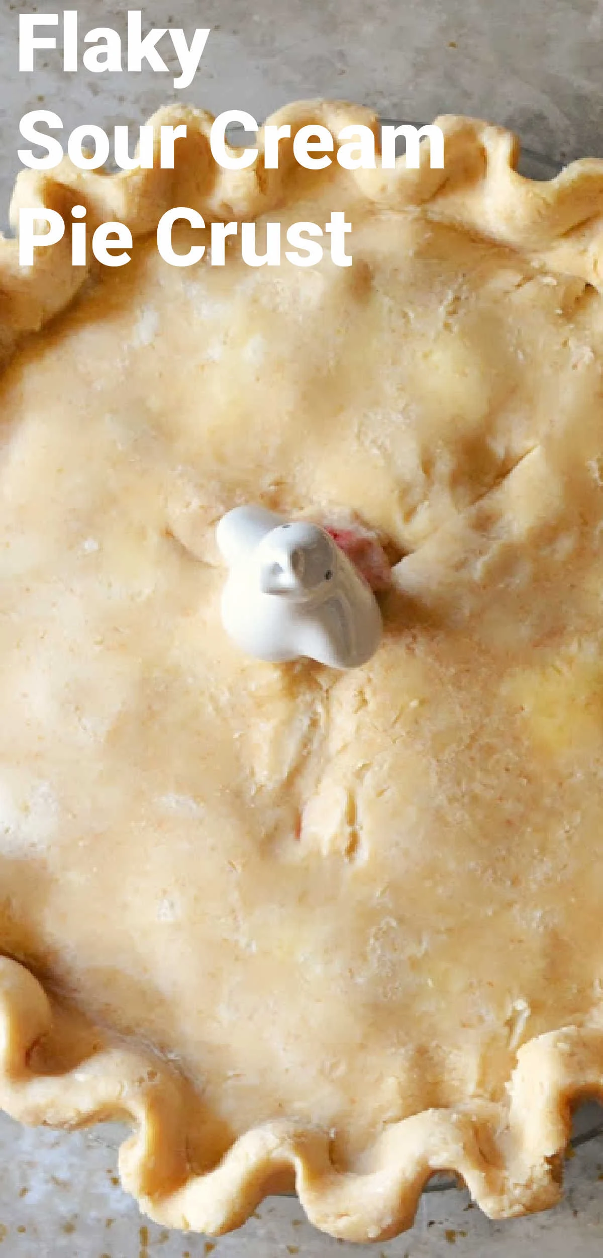 Flaky Sour Cream Pie Crust shaped in a pie pan.