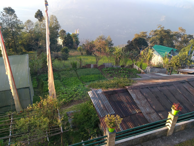 Martam Farmhouse, Pelling