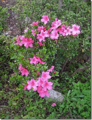 clip_image001[4]