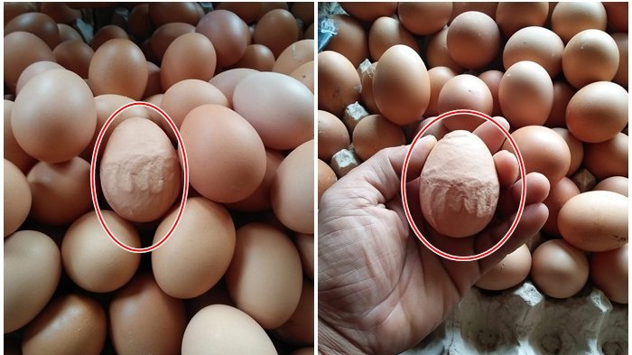   Wanita Ini Menemukan Telur Ayam dengan Lafaz Allah di Kulitnya