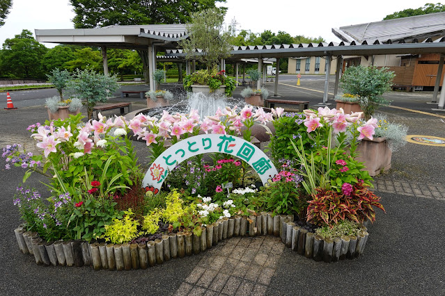 鳥取県西伯郡南部町鶴田 とっとり花回廊