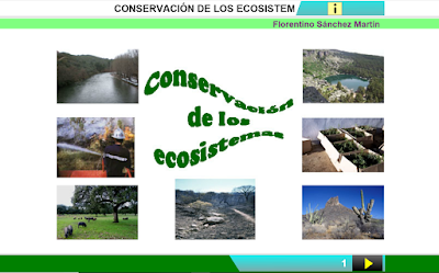 http://www.ceiploreto.es/sugerencias/cplosangeles.juntaextremadura.net/web/curso_4/naturales_4/la_conservacion/la_conservacion.html