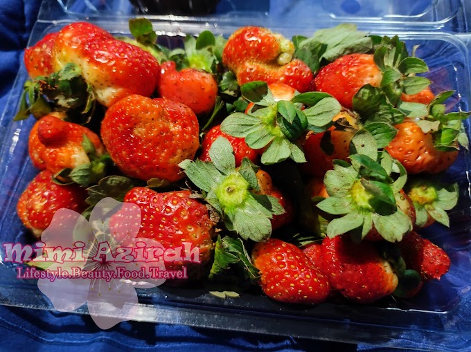 Strawberry Celup Coklat Cameron Highlands