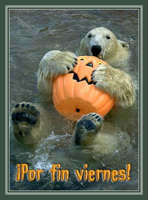 Polar bear celeberating Halloween