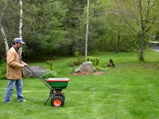 Benefits of Nitrogen-Rich Soil for Lawn Care