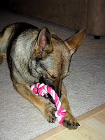 Zada Loves her Knotted Rope Toy