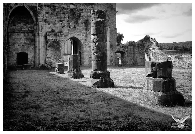 Les ruines de l'abbaye d'Aulne, photo 2