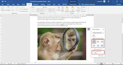 Cara Mengunci Gambar di Microsoft Word Agar Tidak Bergerak/Bergeser