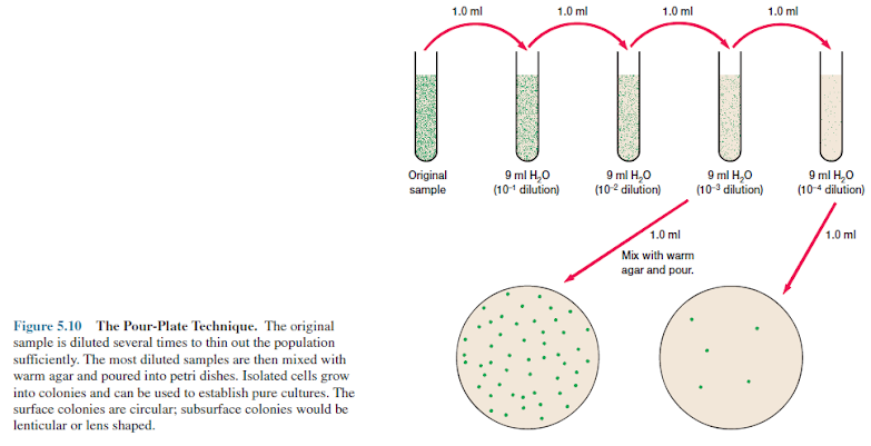The Pour-Plate Technique