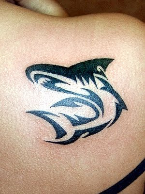 shark tattoo designs. shark tattoo designs. new