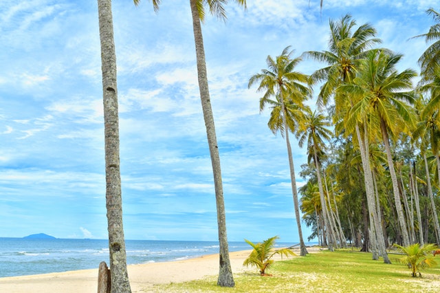 Calm beaches and tropical climate that you will love