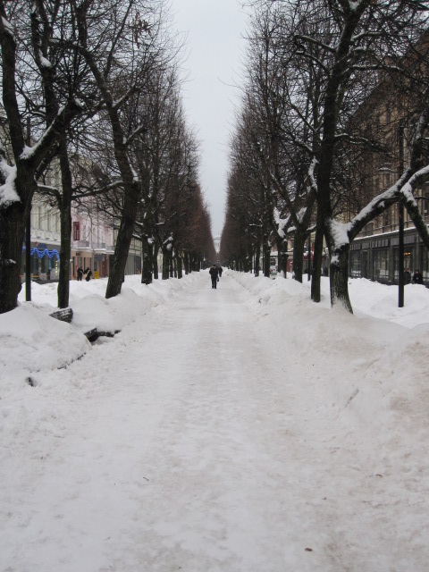Winter in Kaunas